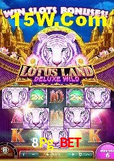 Recursos de Bônus 8Pg Bet